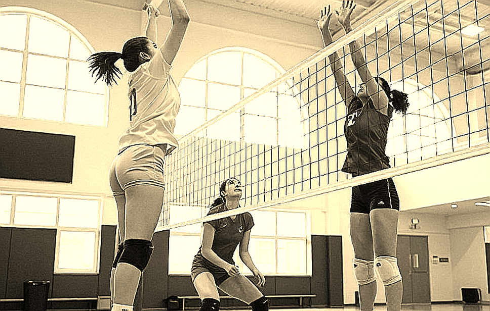 Wrists Decide the Ceiling of Vietnam Women's Volleyball Wrists Decide the Ceiling of Vietnam Women's Volleyball