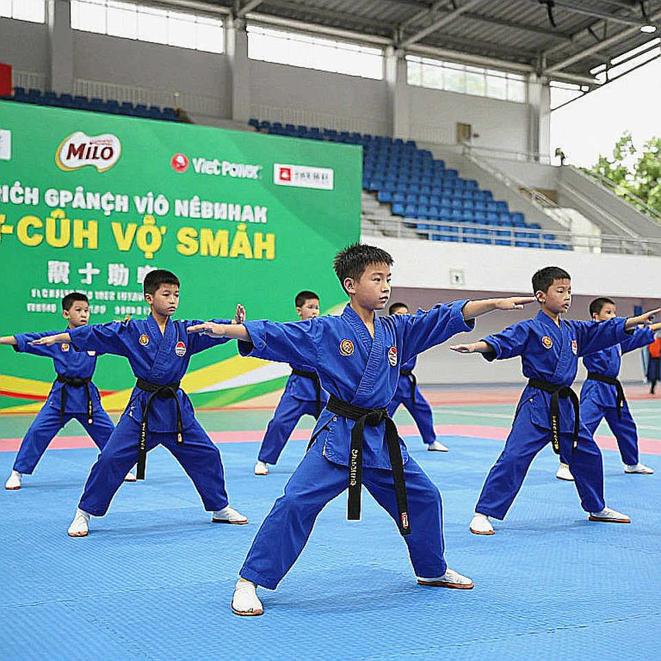 Võ cổ truyền Việt Nam năm 2026: Bề dày truyền thống và sân chơi còn bỏ ngỏ