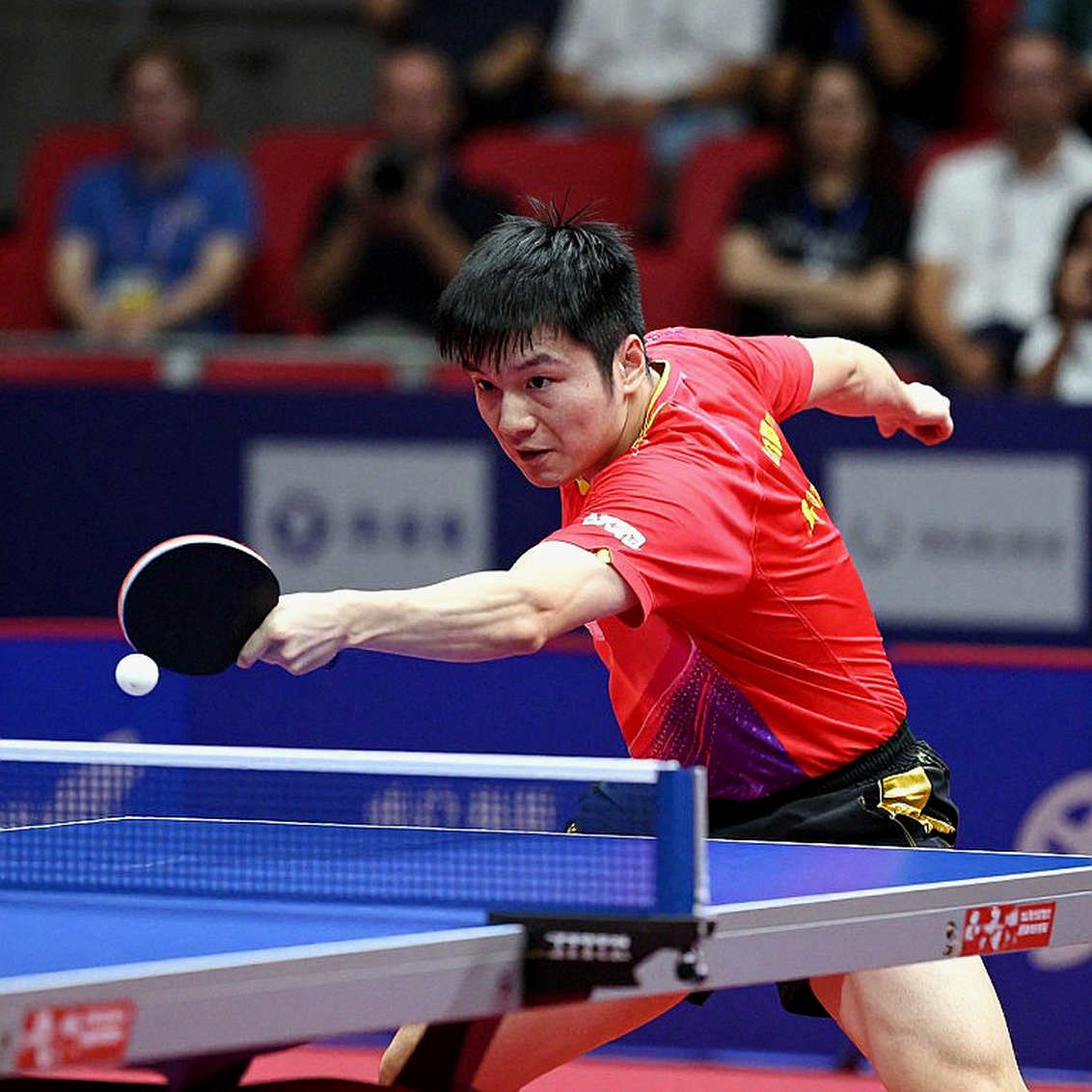 Bóng bàn Anh và bài toán từ gốc: Khi tấm bàn Butterfly kể chuyện London 2026